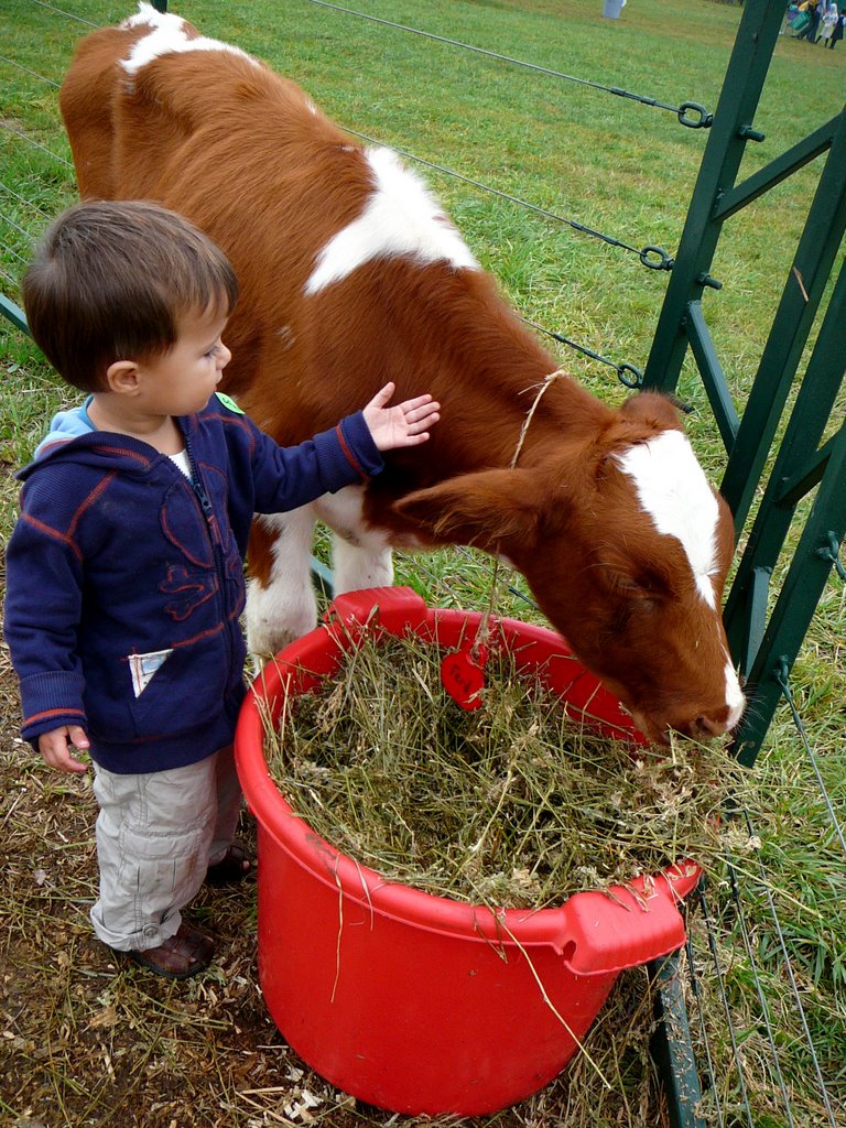 Zach Aboard: Petting Farm (October 2006)